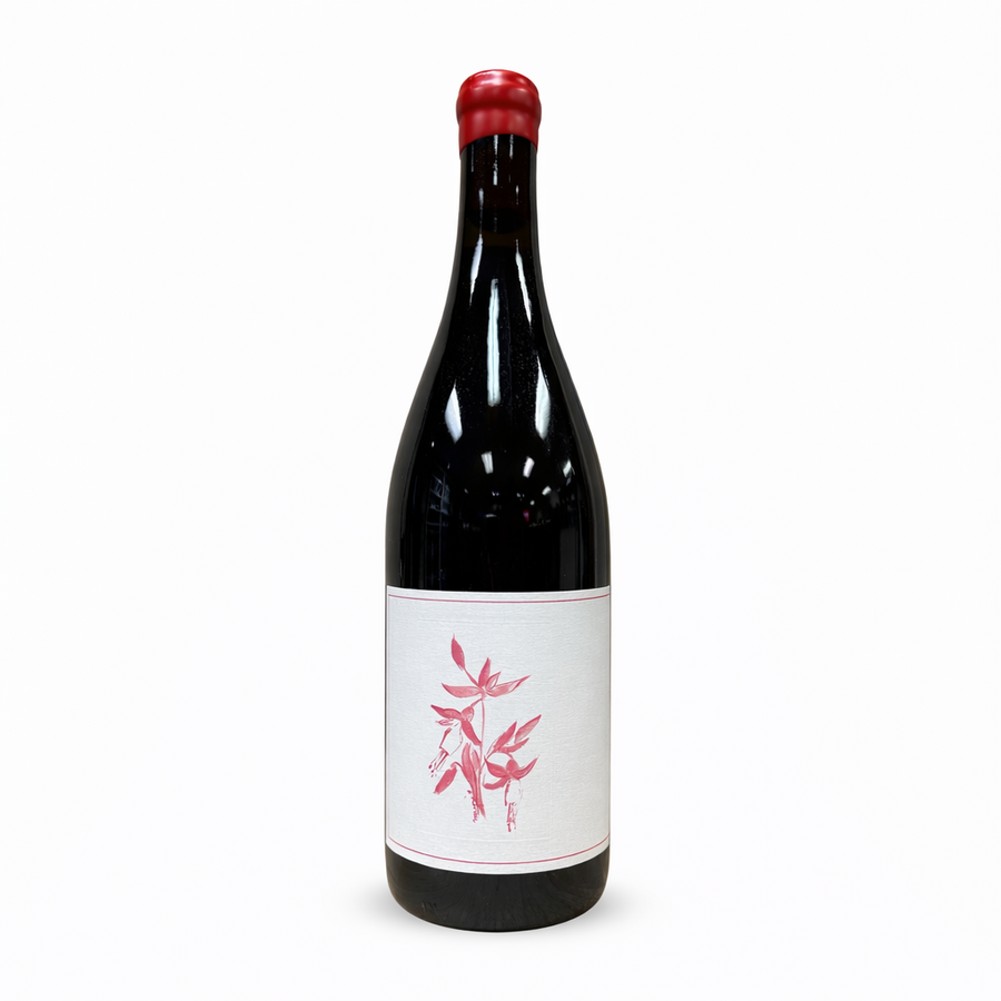 Arnot-Roberts Heaven & Earth Vineyard Pinot Noir 2023
