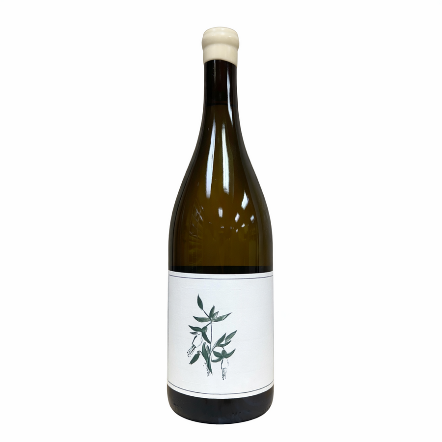 Arnot-Roberts Sanford & Benedict Chardonnay 2023