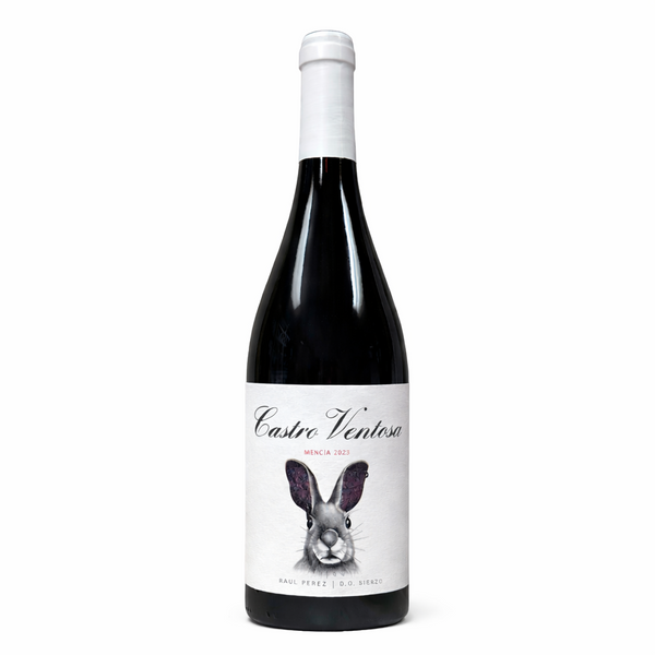Castro Ventosa, Mencia, Bierzo, 2023