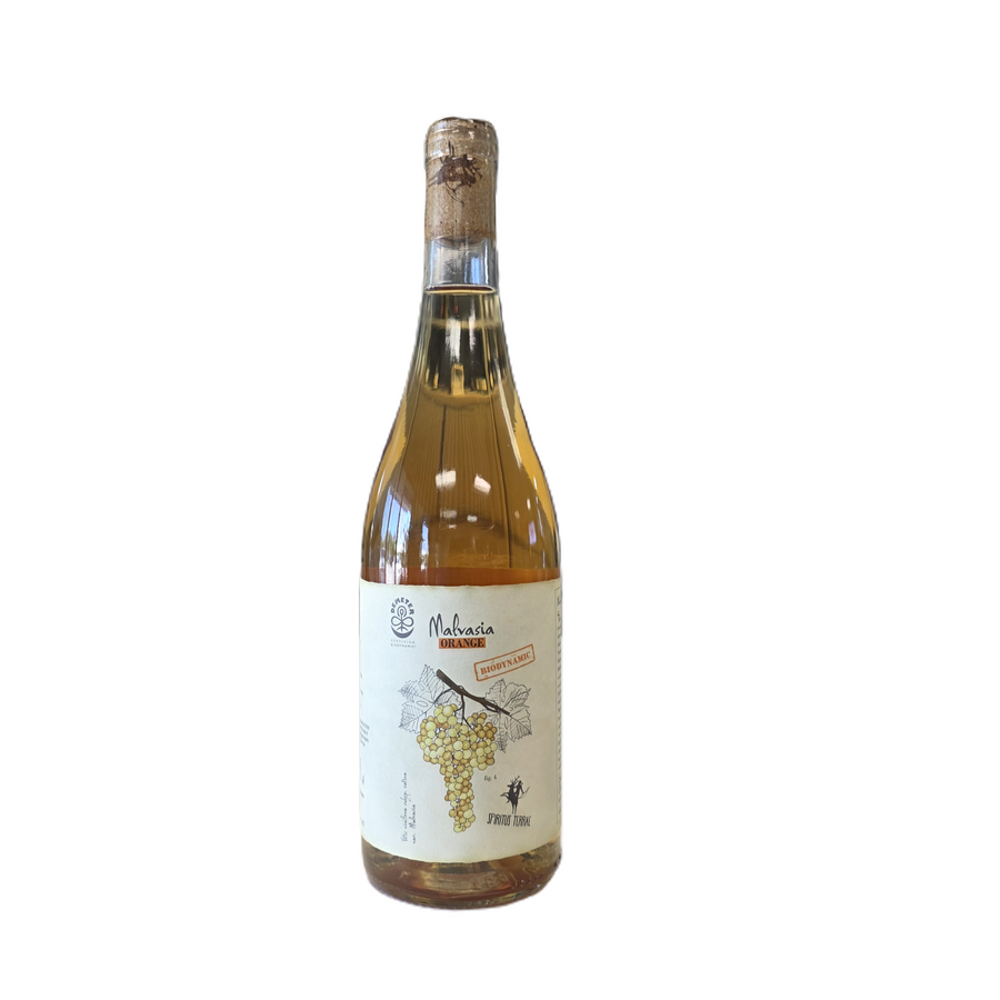Terre di Chieti Malvasia Orange Wine 2024