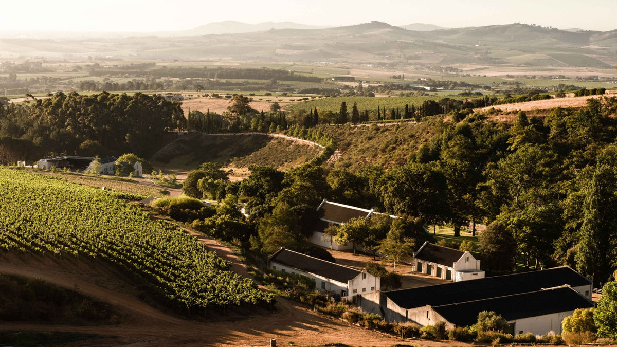 Meet the Winemaker: Schalk Willem Joubert | October 13, 2026